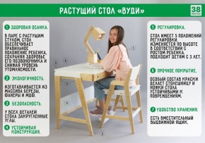 Комплект растущий стол и стул с чехлом 38 попугаев «Вуди» (Белый, Белый, Клетка) в Чайковском - chajkovskij.mebel-74.com | фото