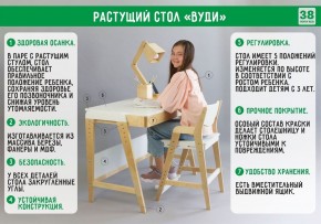 Комплект растущий стол и стул с чехлом 38 попугаев «Вуди» (Серый, Береза, Салют) в Чайковском - chajkovskij.mebel-74.com | фото