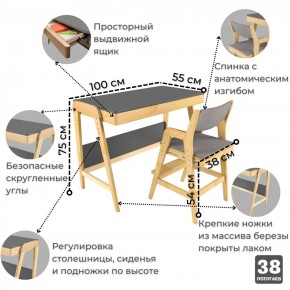 Комплект растущий стол и стул с чехлом 38 попугаев «Вуди» (Серый, Береза, Серый) в Чайковском - chajkovskij.mebel-74.com | фото