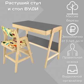 Комплект растущий стол и стул с чехлом 38 попугаев «Вуди» (Серый, Без покрытия, Монстры) в Чайковском - chajkovskij.mebel-74.com | фото
