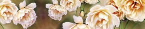 Кухонный фартук Цветы 066 МДФ матовый (3000) Flowers в Чайковском - chajkovskij.mebel-74.com | фото