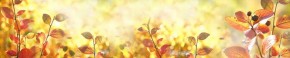 Кухонный фартук Цветы 318 МДФ матовый (3000) Flowers в Чайковском - chajkovskij.mebel-74.com | фото