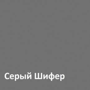 Юнона Шкаф торцевой 13.221 в Чайковском - chajkovskij.mebel-74.com | фото